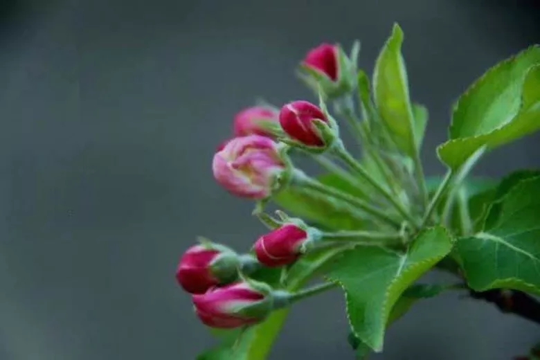 1566463729276523.jpg 1566463729276523.jpg