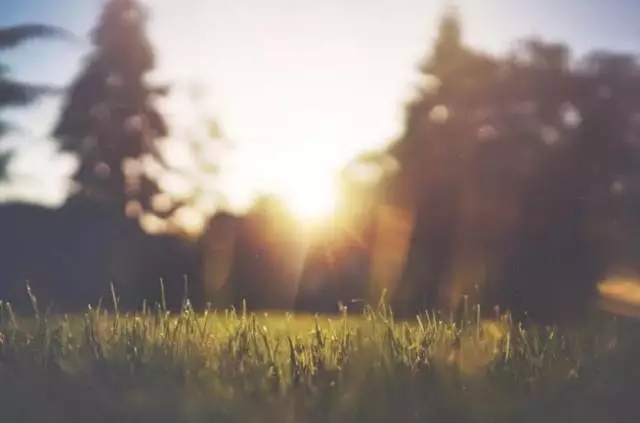 1568107102358854.jpg 1568107102358854.jpg